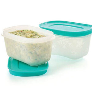 Охолоджувальні лоточки Tupperware 170 мл (2 шт)