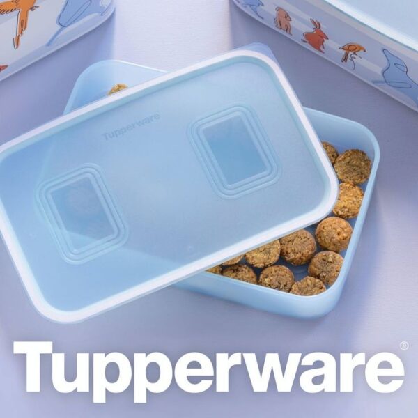 Контейнер Tupperware «Акваконтроль» 1.1л - Зображення 2