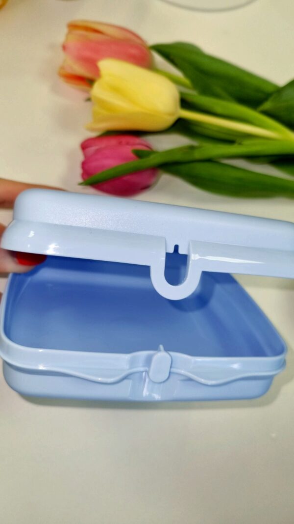 Ланч бокс Tupperware "Осінні квіти" - Зображення 2