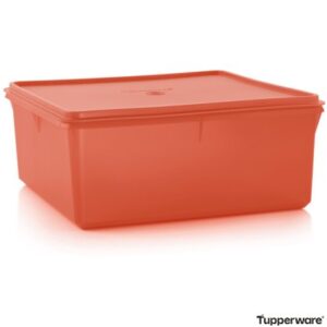 Контейнер Tupperware «Гігант» 10 л