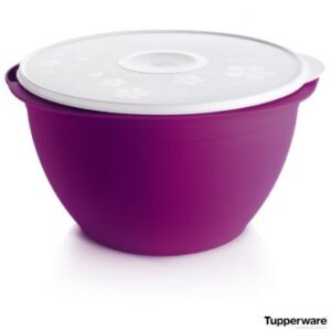 Чаша Бум 10 л Tupperware