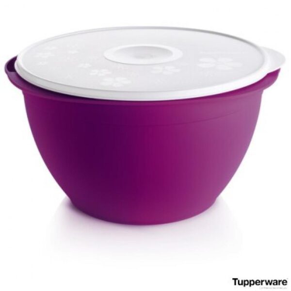 Чаша Бум 10 л Tupperware