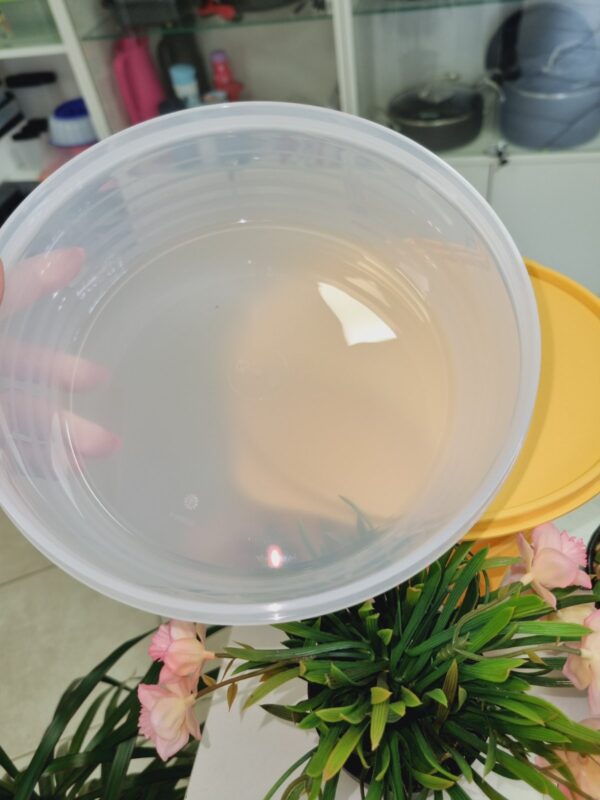 Чаша контейнер «Нова класика» (1 л\1.4 л\1.9 л) Tupperware - Зображення 3