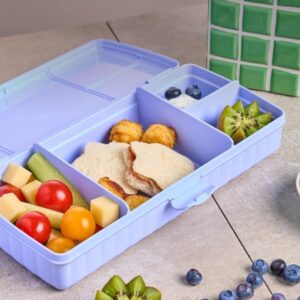Ланч-бокс великий фіолетовий з розділювачем Tupperware