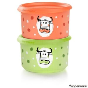 Ємність  "В один дотик" «Літній луг», 1 шт. Tupperware