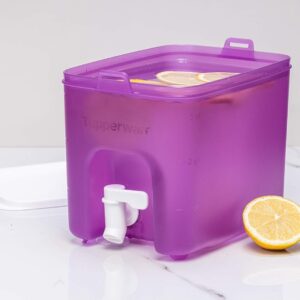 Контейнер Водолій 3,1 л Tupperware